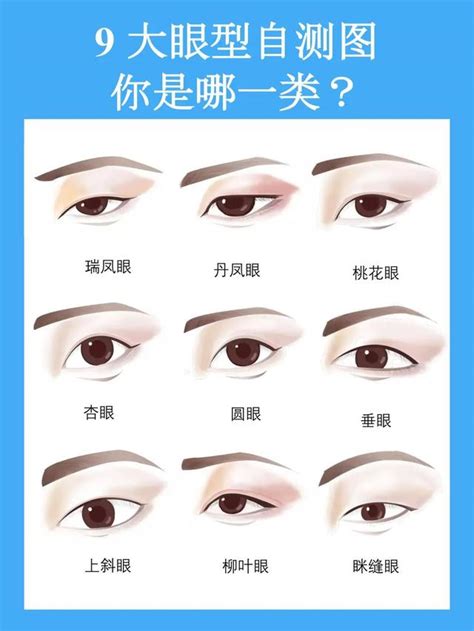 鳳眼特徵|桃花眼，丹鳳眼，瑞鳳眼，傳統眼型盤點